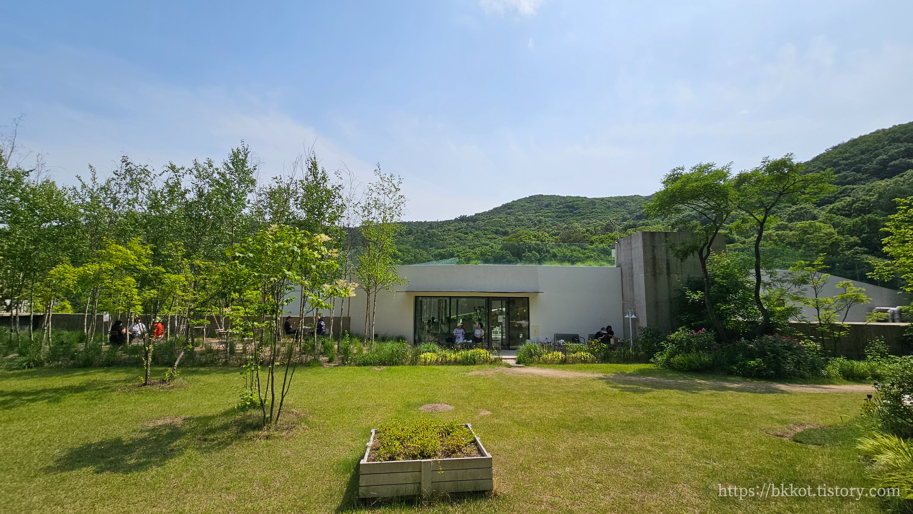 모아니 카페 사진