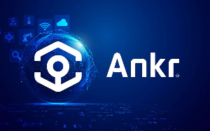 앵커(ANRN) 코인의 개념 방식 특징 투자전망