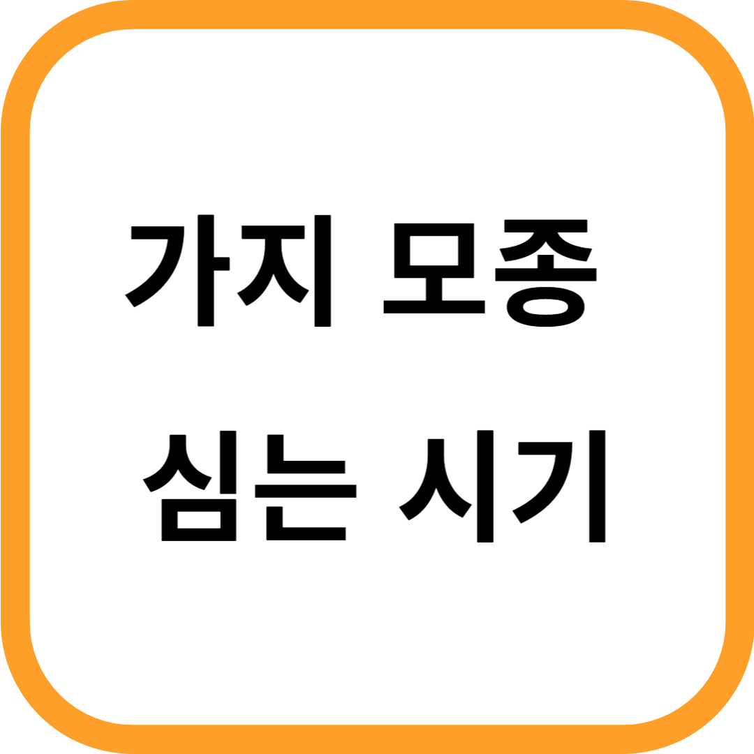 가지 모종 심는 시기