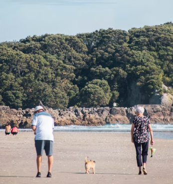 퇴행성 관절염 증상 원인 치료법