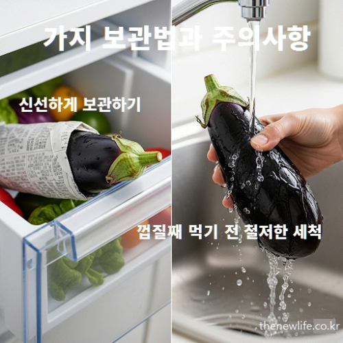 냉장고 야채칸에 신문지로 감싸 보관한 가지와 흐르는 물에 세척하는 가지 모습