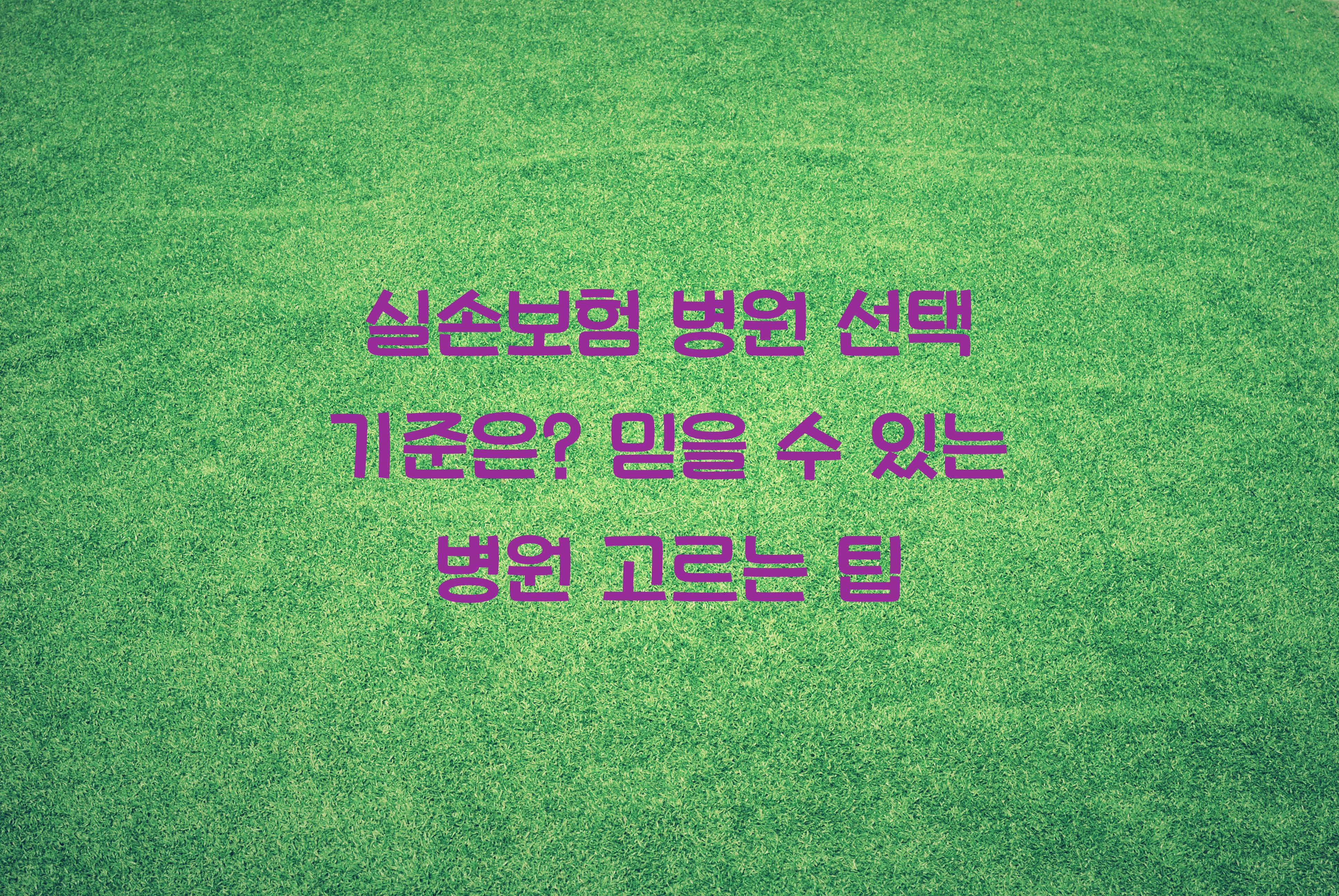실손보험 병원 선택 기준