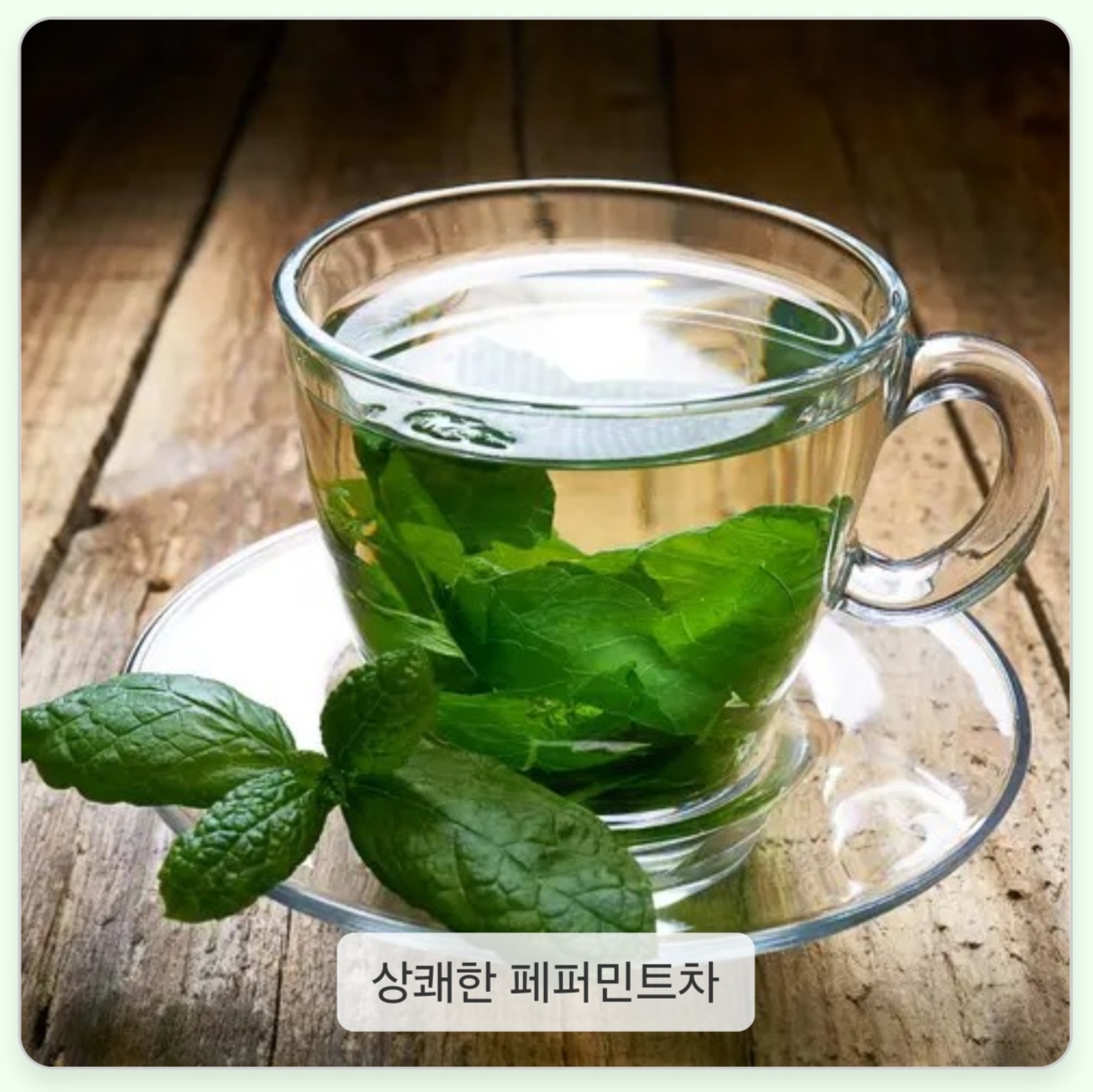 페퍼민트차 효능 7가지