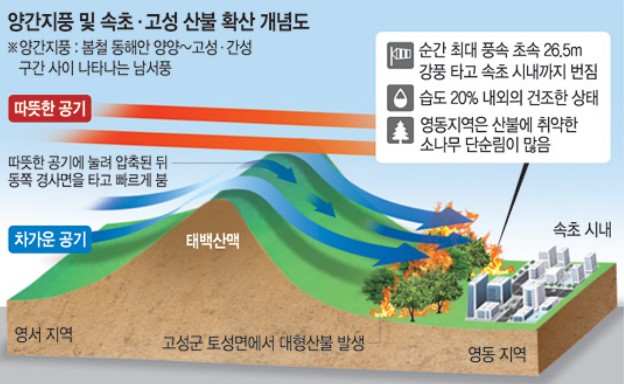 양간지풍 뜻 원리 푄현상 정리