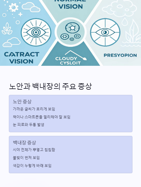 노안과 백내장의 주요 증상