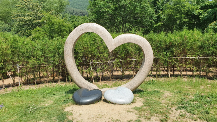 문경 생태미로공원