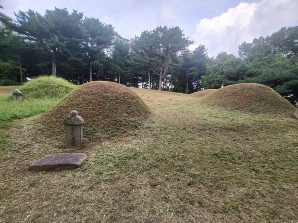 노량진 사육사신묘