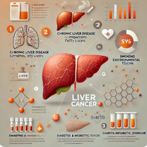 간암의 주요 원인