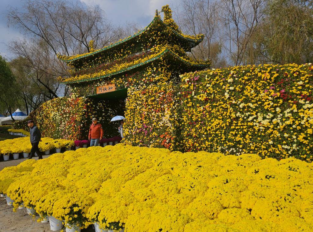 국화향 따라 걷는 가을 여행 : 제22회 백제고도 부여국화축제 일정&middot;위치&middot;프로그램 총정리