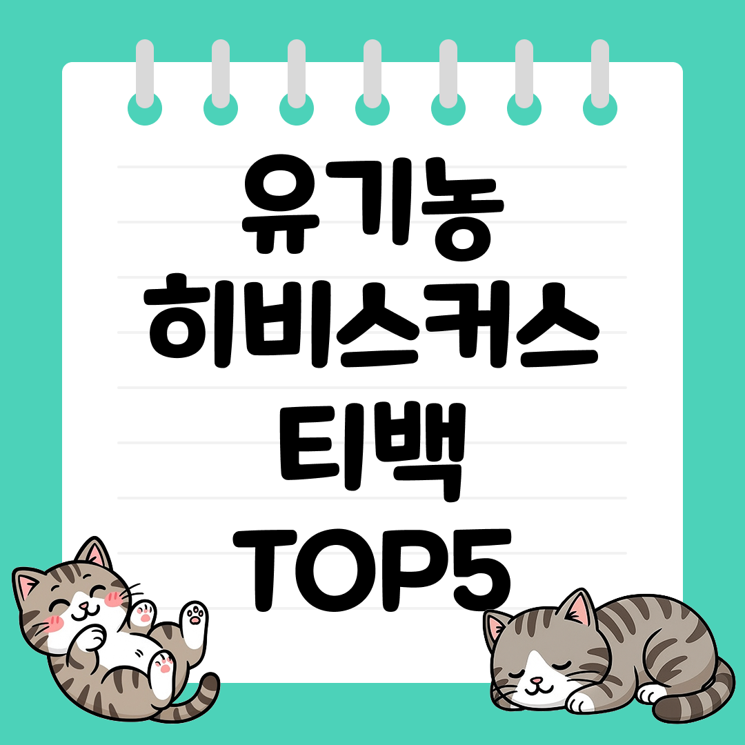 다이어트와 피부 건강에 좋은 유기농 히비스커스 티백 TOP5