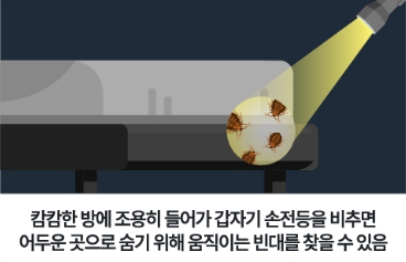 빈대 퇴치법