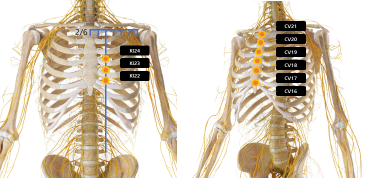 가슴 주변 혈자리 요약
