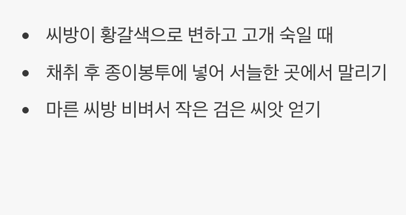 다음 해를 위한 작은 선물&amp;#44; 씨앗 받기