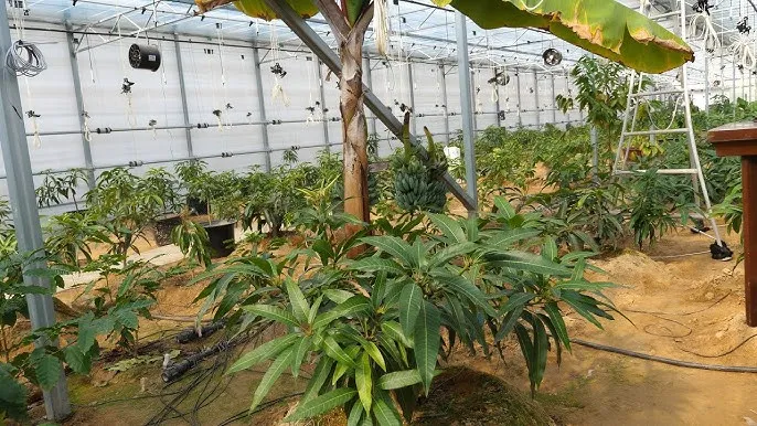 청주시 남이면 맛집 초가정에서_1