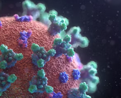 대상포진 초기증상 원인 예방 관리법