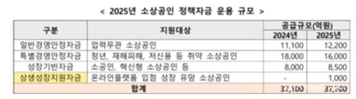 2025년 소상공인 지원금 (+ 중소기업 정책자금) 간단 정리