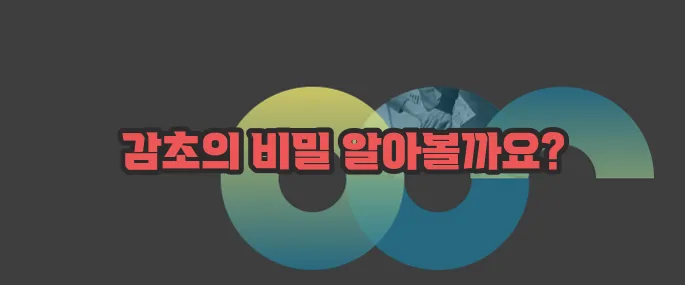 감초 효능 부작용 섭취방법 알아볼게요