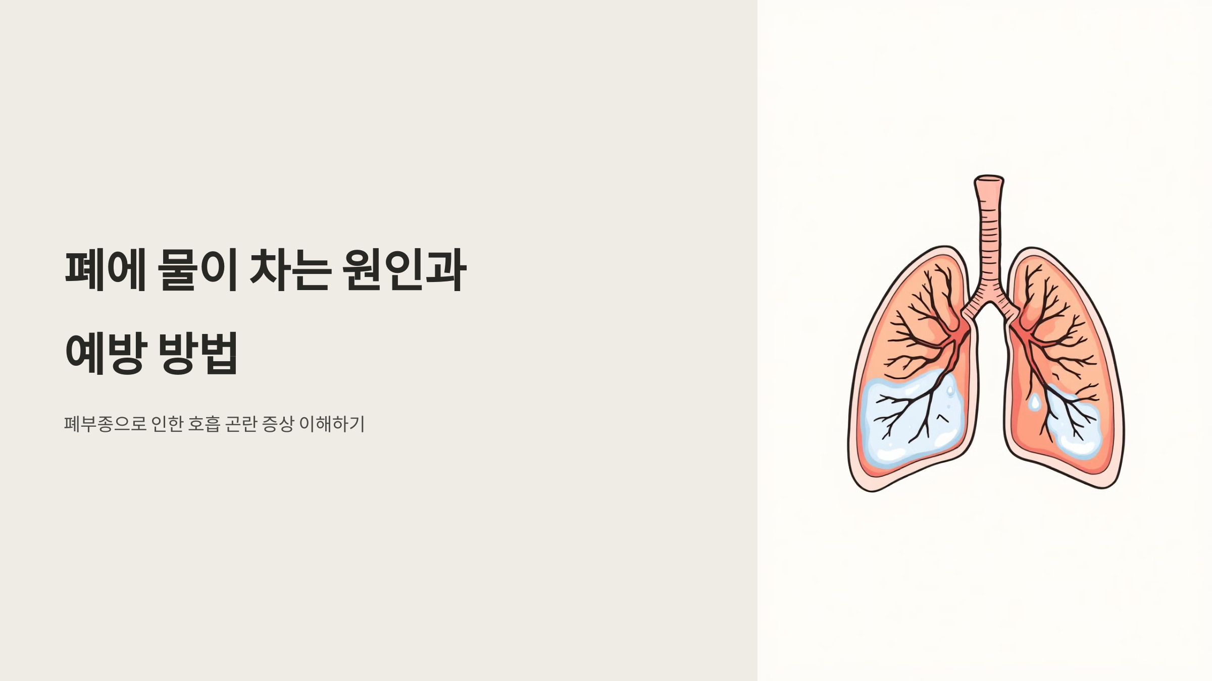 폐와 관련된 사진입니다.