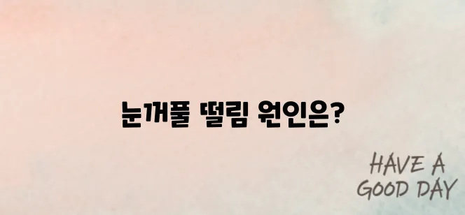 눈꺼풀 떨림현상