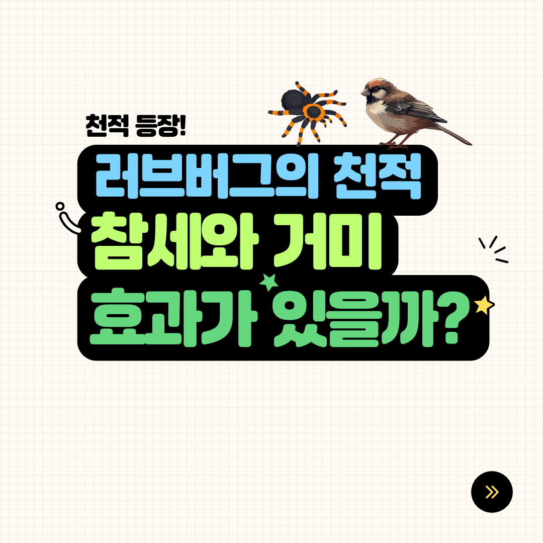 러브버그 천적 참새와 거미