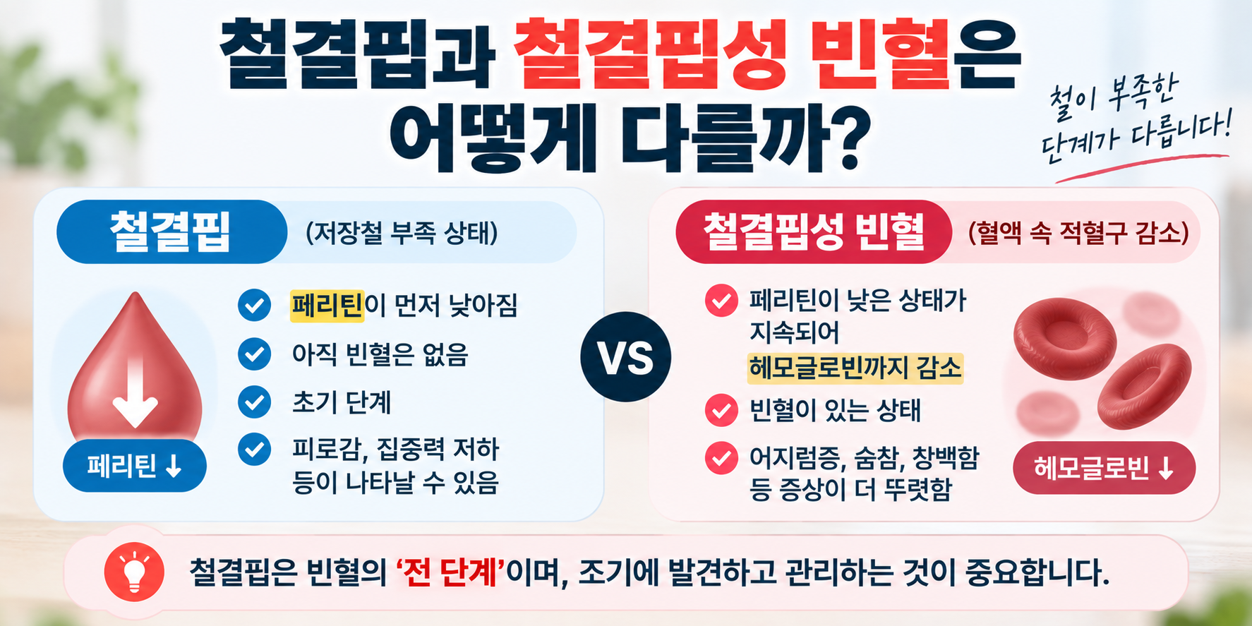 철결핍과 철결핍성 빈혈 차이 비교 이미지
