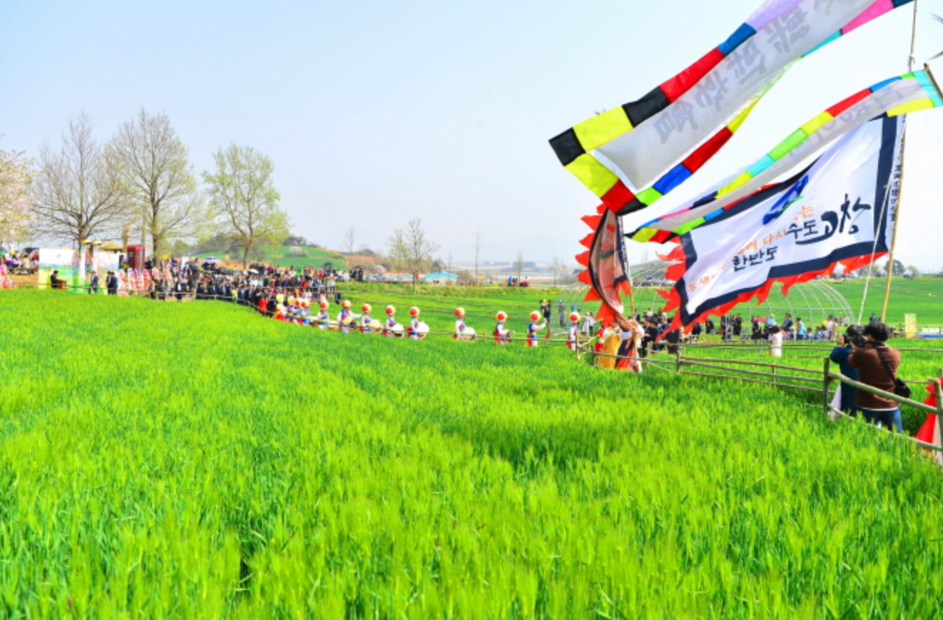 고창-청보리밭-축제