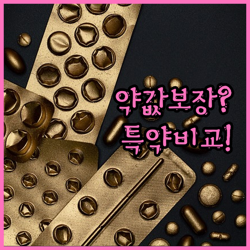 펫보험 약값 보장 가능 항목과 보험사..