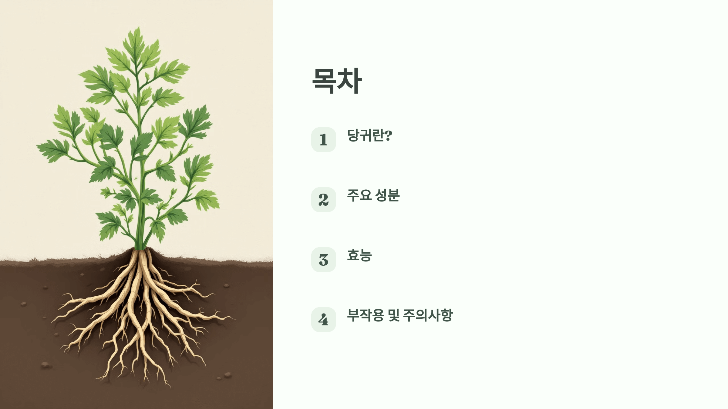 당귀 사진입니다.