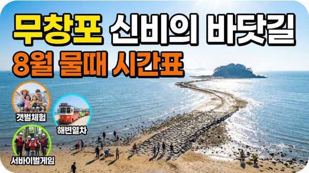 보령 무창포 해수욕장 신비의바닷길 8월 물때 시간표