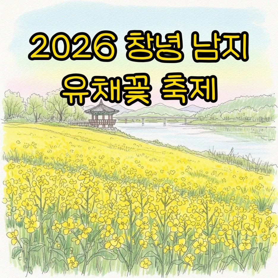 노란 유채꽃이 만개한 낙동강변의 평화로운 풍경