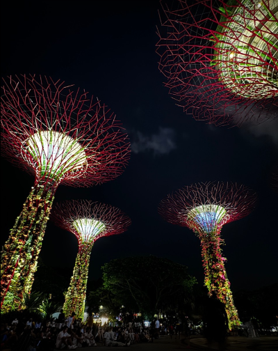 싱가포르 신혼여행