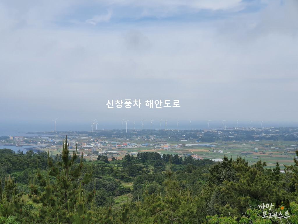 당산봉 경치