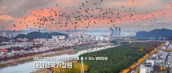 울산 가볼만한곳 베스트 10 여행 명소_11
