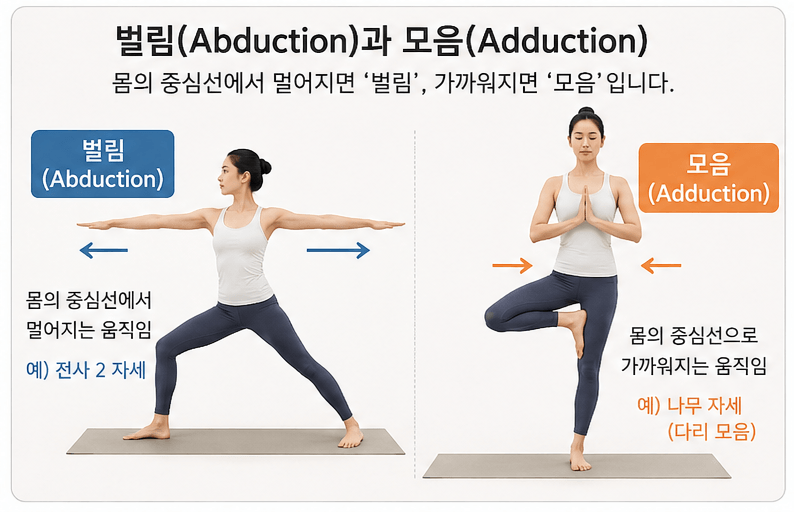 요가 해부학으로 이해하는 관절의 움직임: 요가 자세를 읽는 가장 기본적인 언어