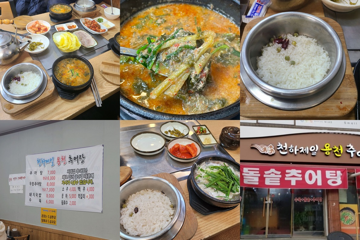 천하제일용천추어탕