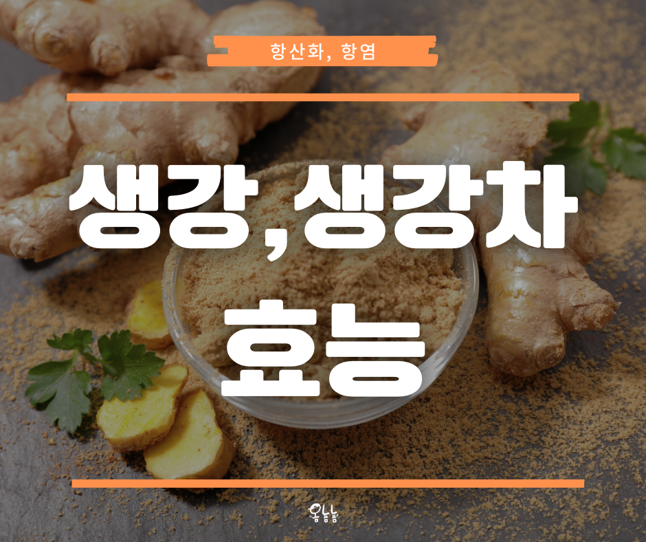 생강효능