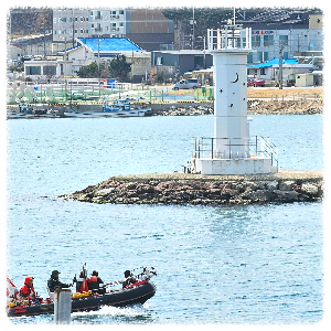 강구항