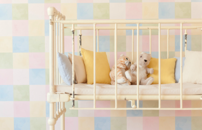 임신 중에는 애완동물