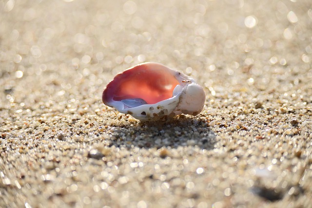 길거리에서 똥 싸는 꿈 해몽 (똥꿈해몽풀이&amp;#44; 무료꿈해몽풀이)