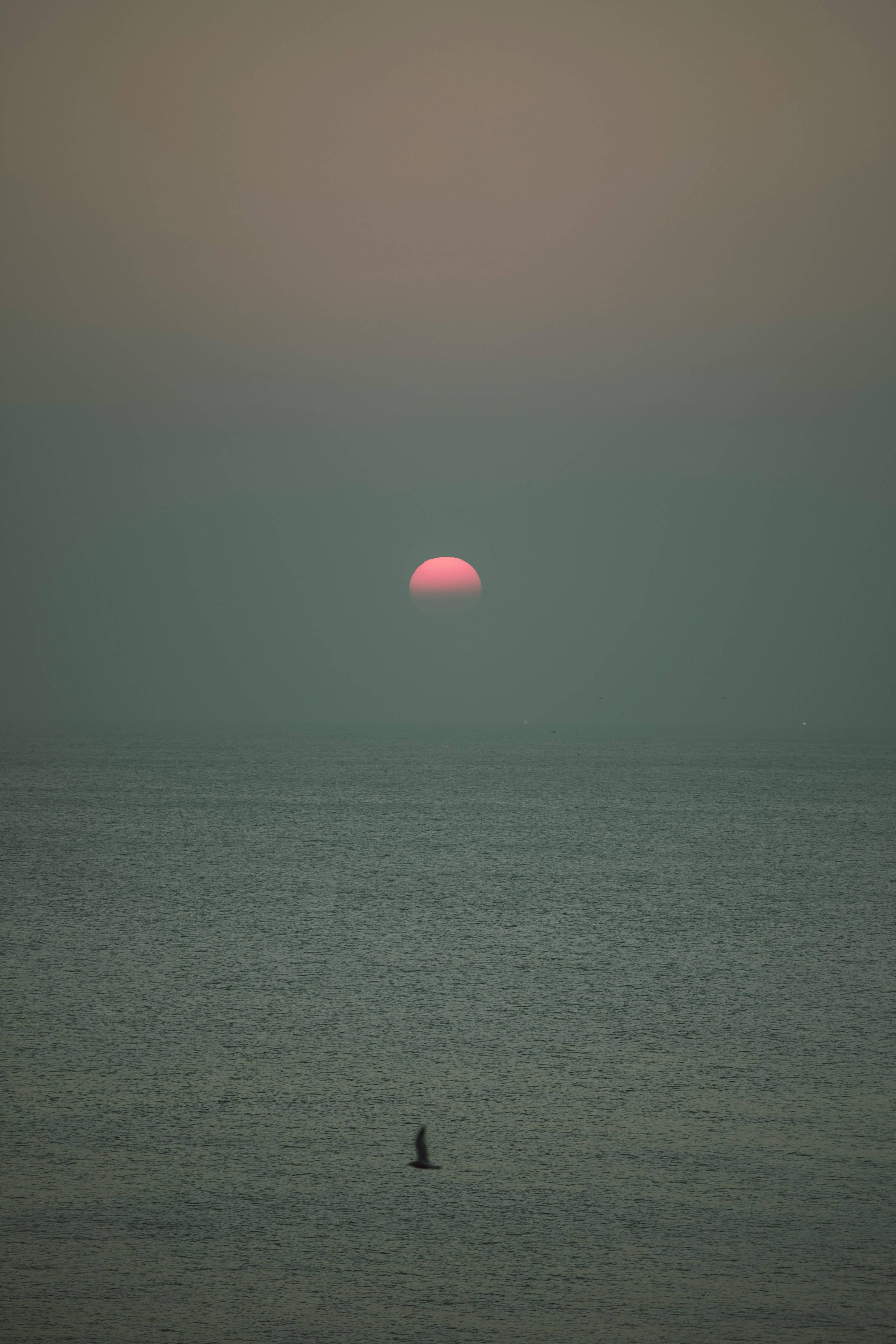 동해시 모습들 이미지