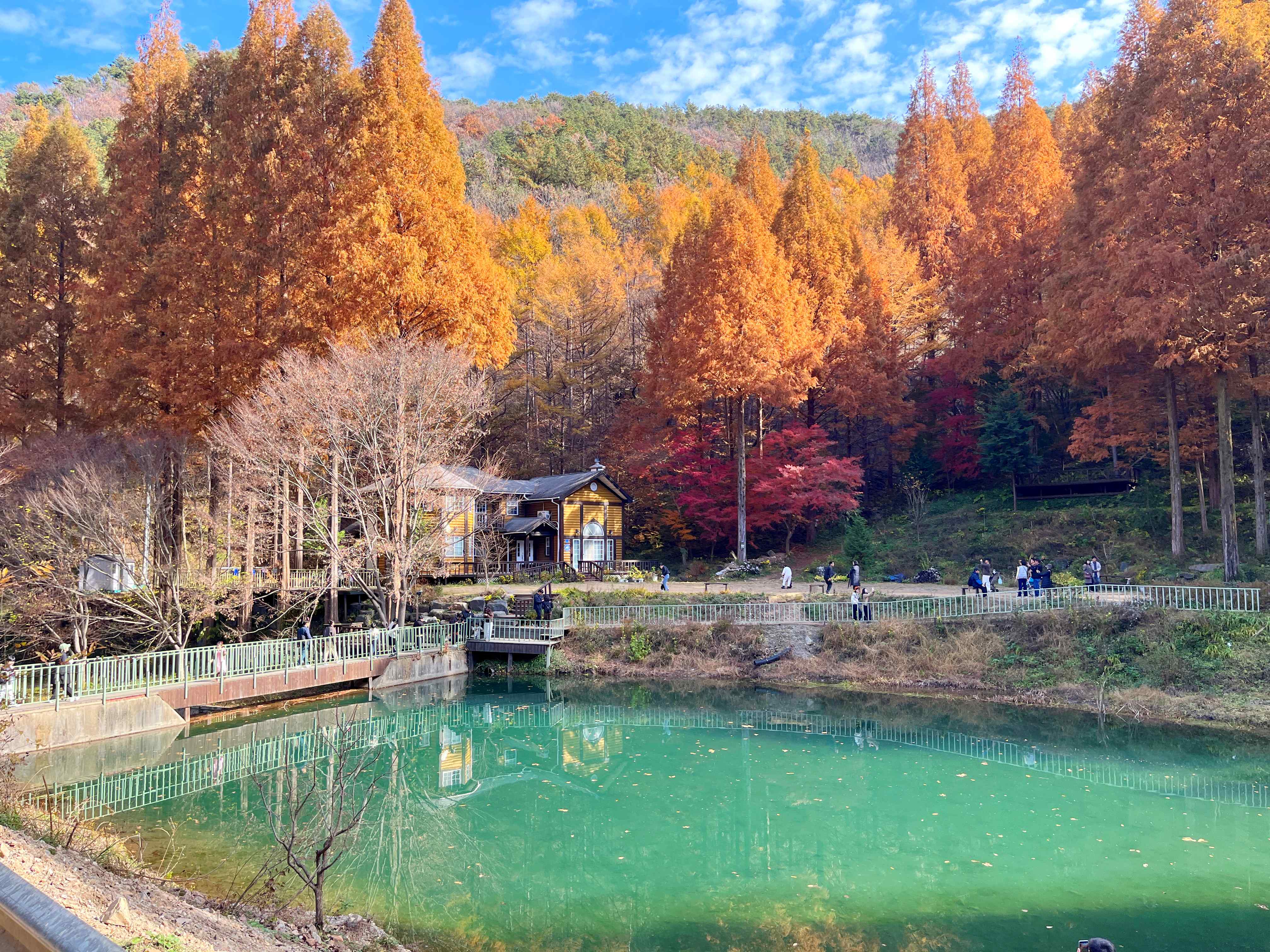 온빛자연휴양림