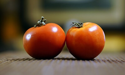 나란히-있는-토마토-2개