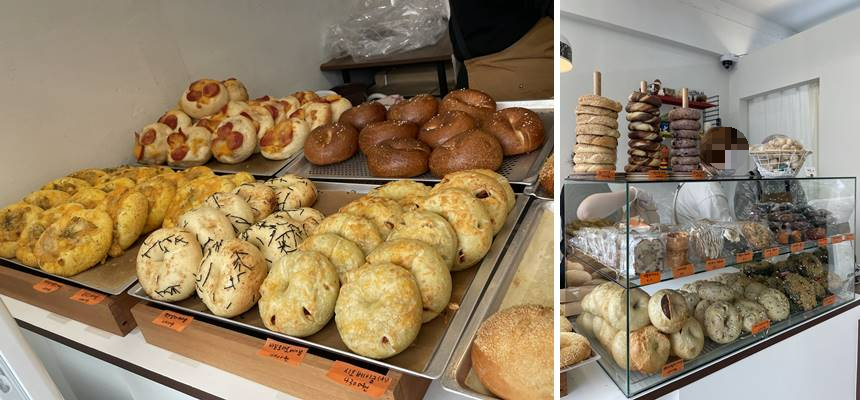 벵이글 종류 빛 가격