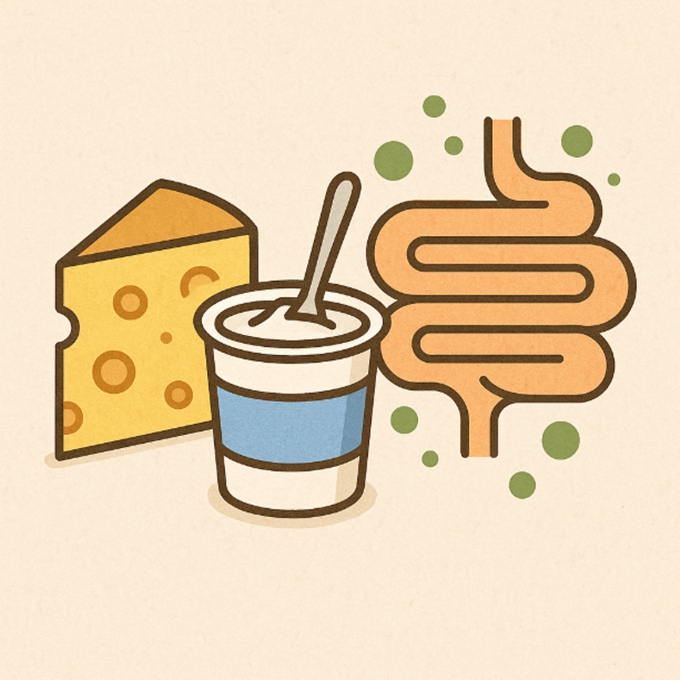 발효 단백질 식품과 장 건강을 상징하는 아이콘을 결합한 일러스트