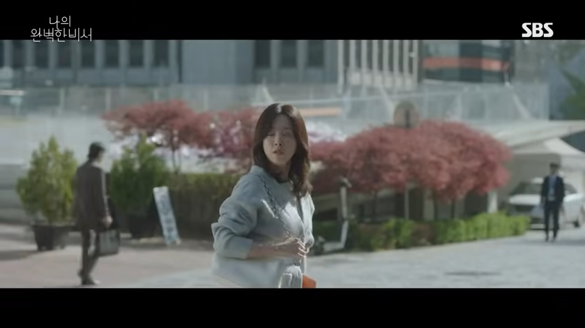 나의완벽한비서