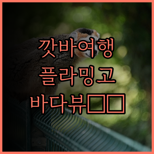플라밍고 그랜드 깟바 리조트 후기 깟