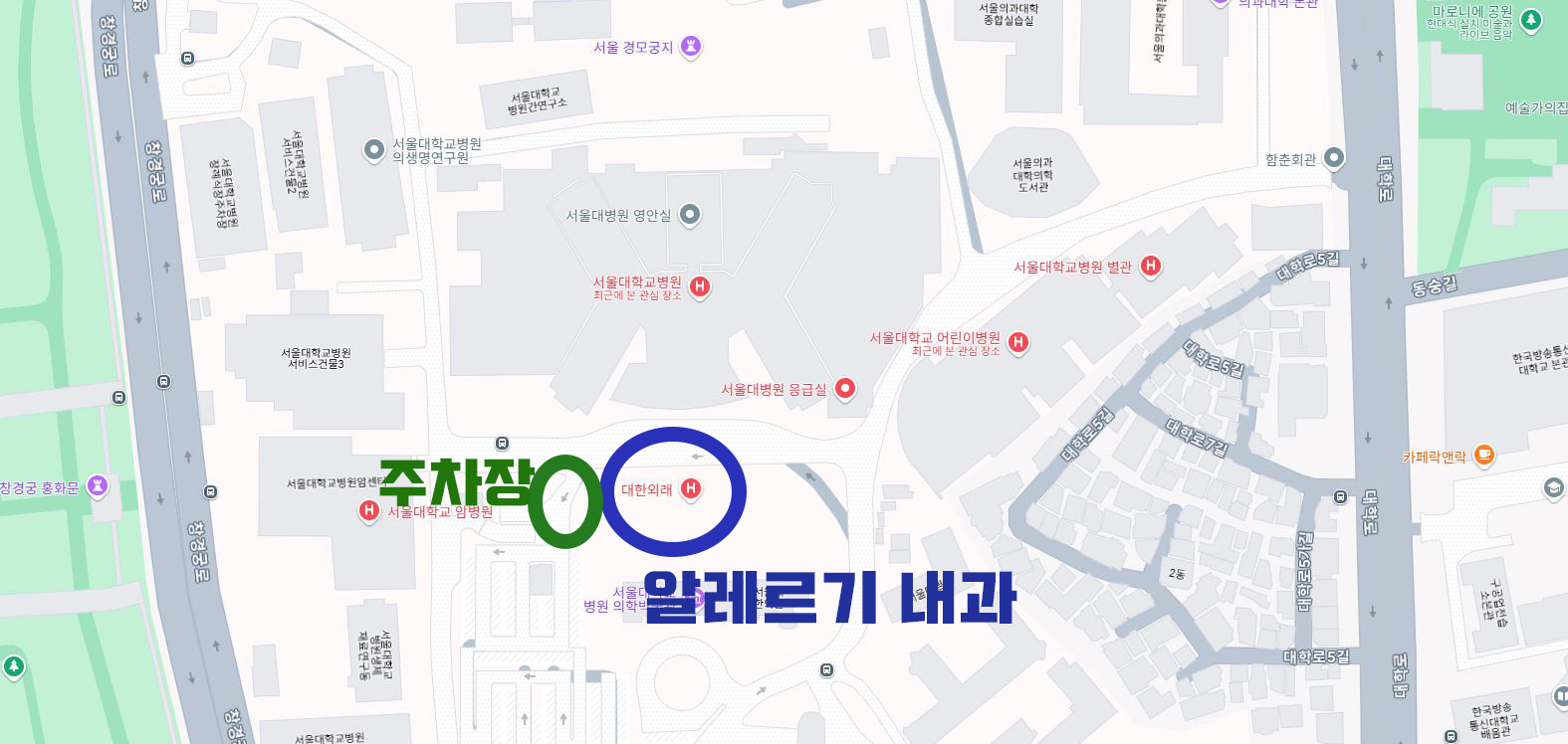 약물 알레르기 검사 후기 &lt;서울대학병원&gt;