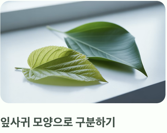 한눈에 보는 결정적 차이점