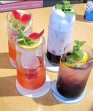 잇초 정보