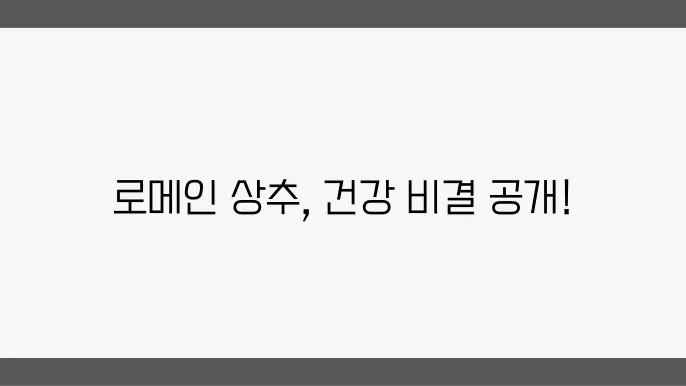 로메인 상추가 주는 면역력 향상쫀다어트 효슷